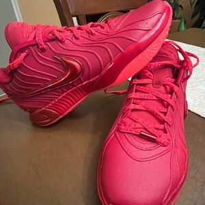 Nike crimson red sneakers LeBron James